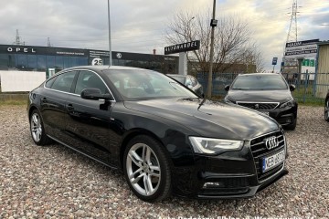 S-Line , automat , nawigacja, skóry, bi xenon